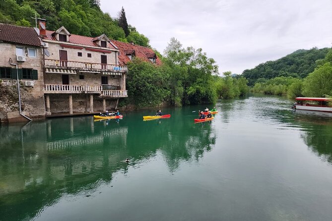 Skadar Lake on kayaks Experience with Spectacular Views - Six hours among water lilies, birds, and open water