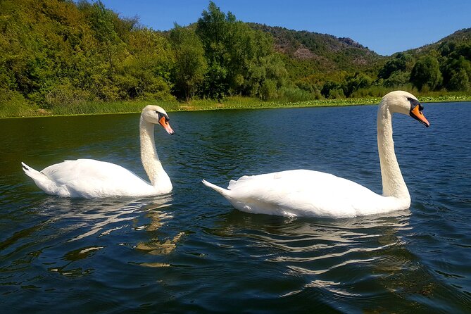 Skadar Lake & Virpazar return trip from Podgorica city - Why this short trip works from Podgorica