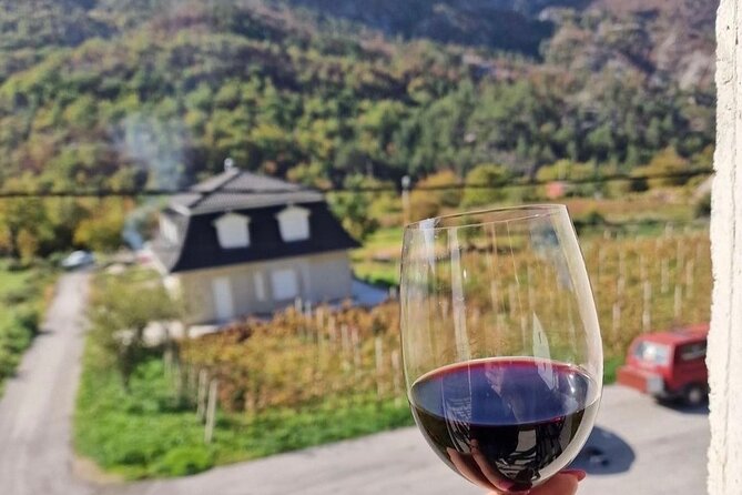 TASTE OF MONTENEGRO - Gastro Private Tour of wine and food - Wine, Rakija, And Local Liqueurs