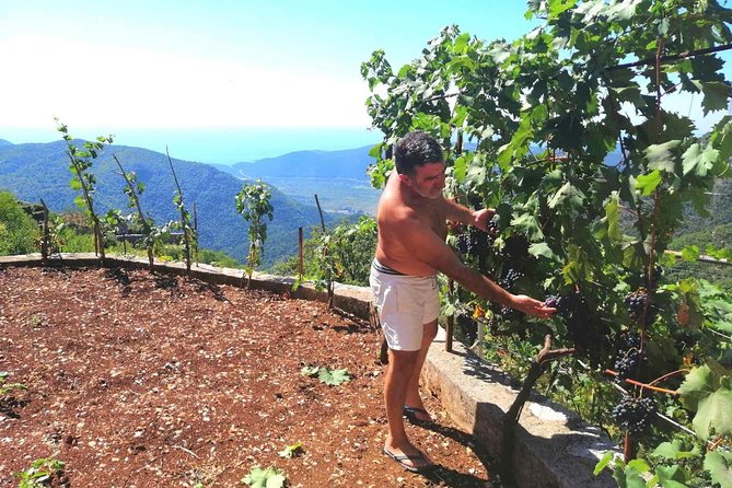 Unique gastro experience with locals in high hills above Budva! - Why the private format changes the experience