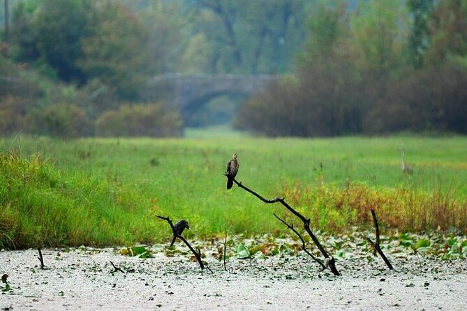 Virpazar Skadar Lake National Park Guided Boat Tour - The optional swim on the way back