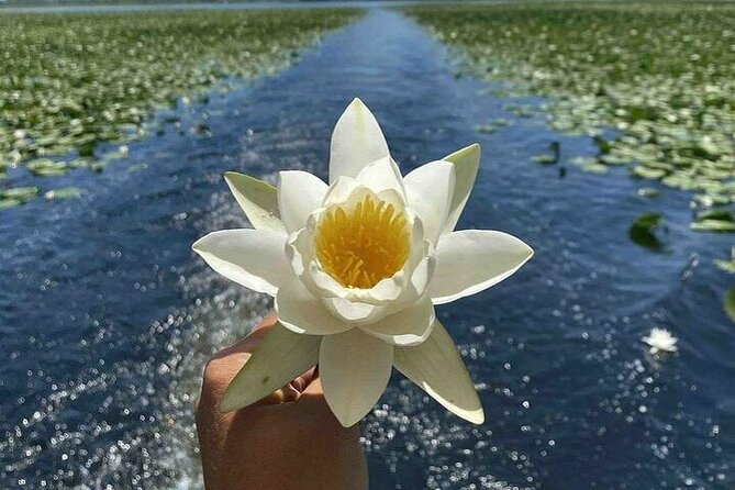 Virpazar Skadar Lake National Park Guided Boat Tour - From Virpazar into the green river channel