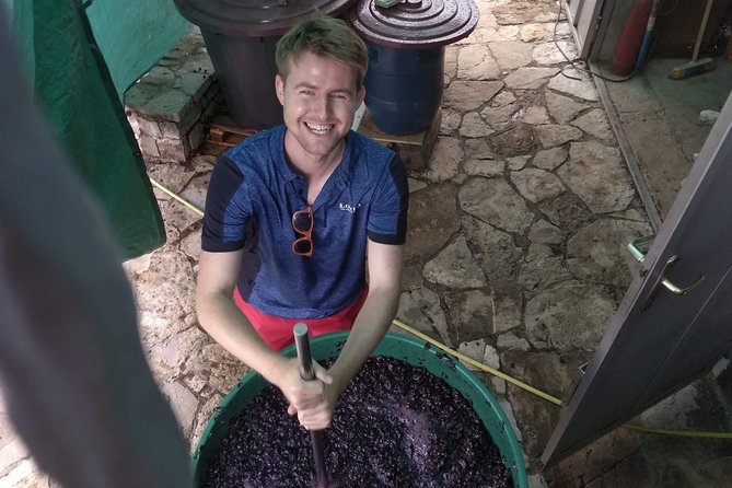 Wine tasting and magical tour from Kotor, Budva, Tivat (Lovcen,Skadar lake) - Rvasji winery: the food and wine finale